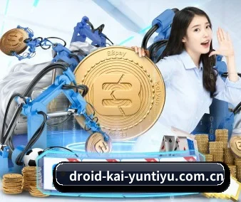 国际化进程 - kaiyun